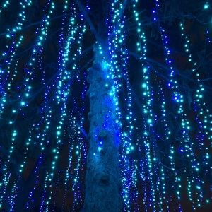 Meet your Posher, Molly